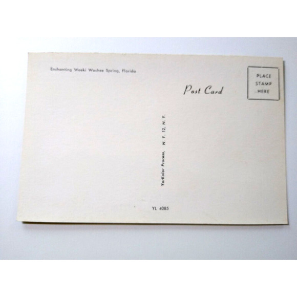 Weeki Wachee Spring Florida Postcard Swimsuit Ladies Underwater Theater Chrome - Picture 3 of 3